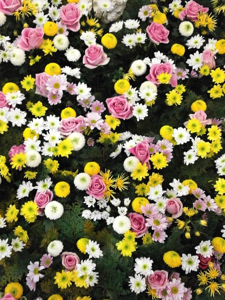 flowers_texture_flower_carpet